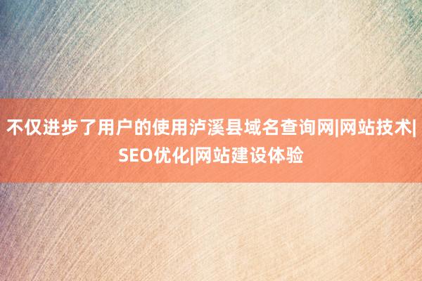 不仅进步了用户的使用泸溪县域名查询网|网站技术|SEO优化|网站建设体验